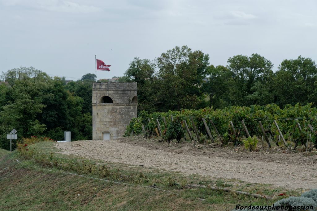 Derrière cette tour se trouve le château Lafite-Rothschild, un voisin prestigieux.